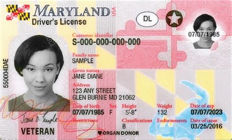 maryland dmv license number