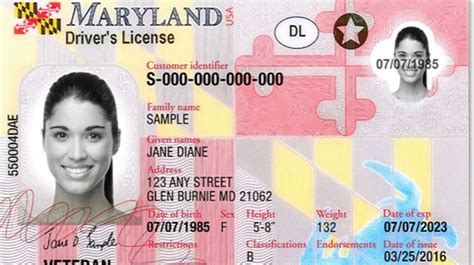 maryland driver's license renewal