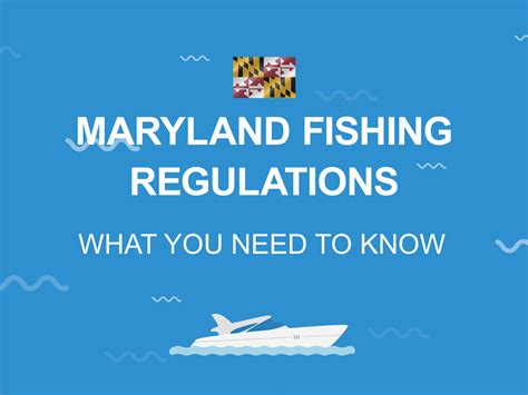 Maryland Fishing Regulations