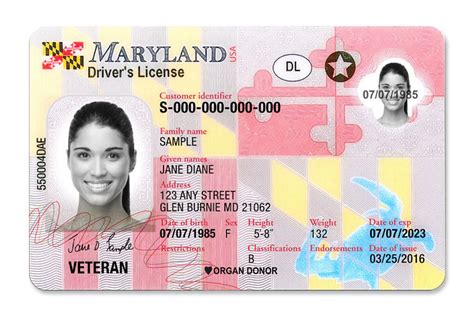 maryland insurance license lookup producer