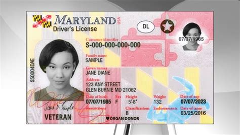 maryland motor vehicle driver license renewal