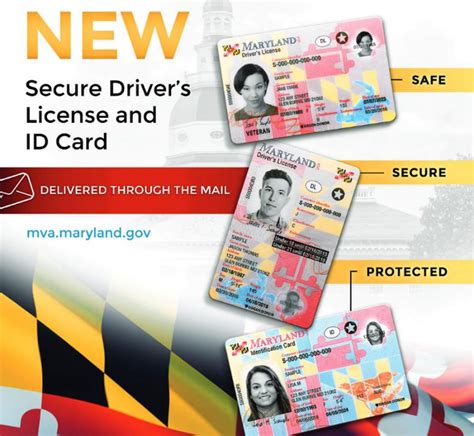 maryland mva license renewal cost