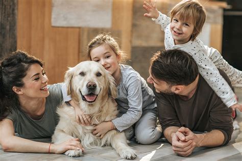mascotas y familias felices