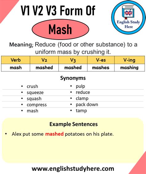 mash meaning in english
