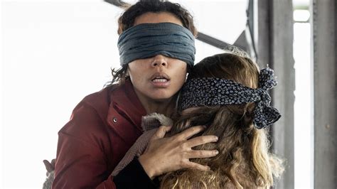 Mask Bird Box