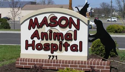 HiFive | Mason Animal Hospital