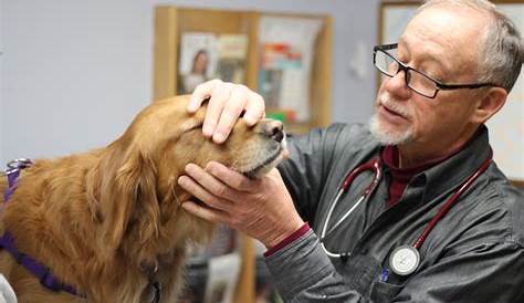 Veterinarians in Mason City | Brookview Animal Health Center