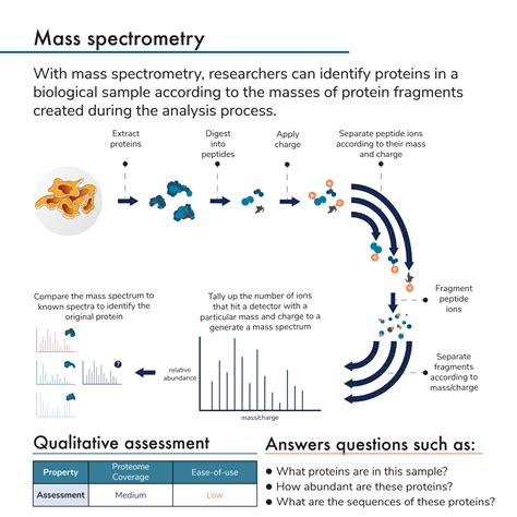 Mass Spectrometry Data Analysis In Proteomics