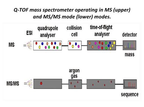Mass Spectrometry Detector Slideshare
