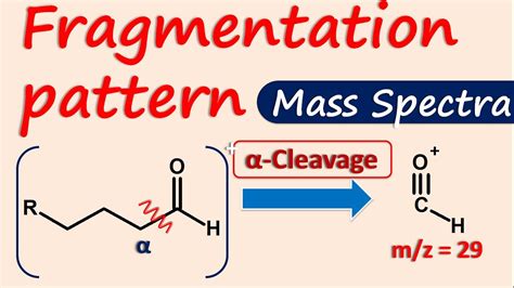 Mass Spectrometry Fragmentation Database