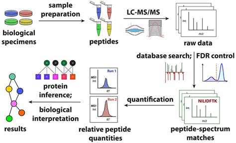 Mass Spectroscopy Databases