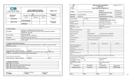 Master Batch Record Example