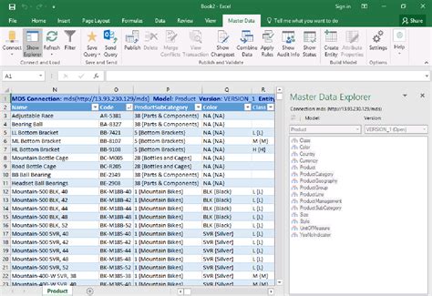 Master Data Services Excel