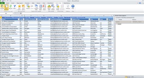 Master Data Services Excel Add-In 2014