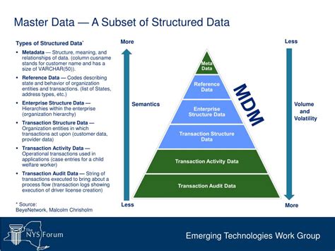 Master Data Set Definition