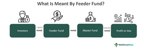 master fund feeder fund