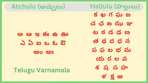 master meaning in telugu with example