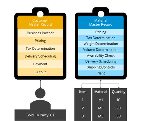 Master Records In Sap