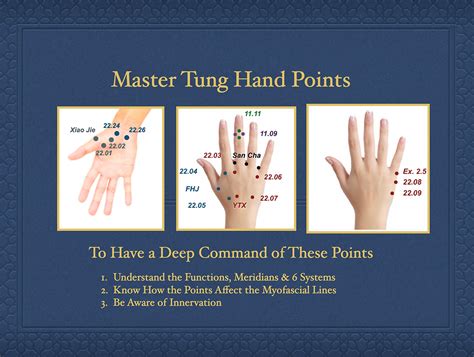 Master Tung Points Chart