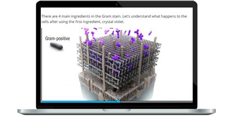 Mastering Micro Pearson
