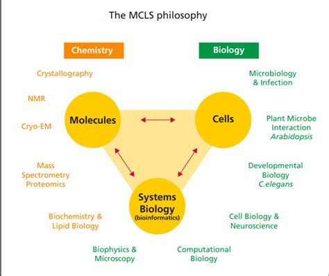 masters science molecular biology