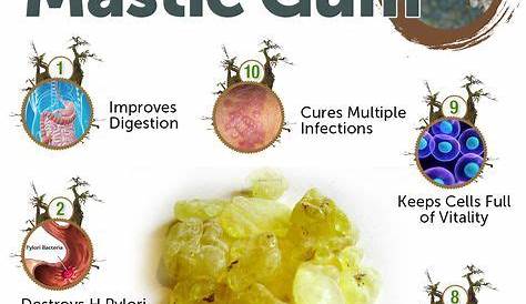 Mastic Gum Uses 2 Supplements To Support Gut Healing How To Use