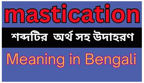 Masticate Meaning In Bengali Ινδια, Ινδικη γραφη FOREIGN LANGUAGES, HINDI, BRAHMIN