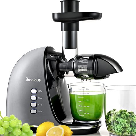 Masticating Juicer Celery