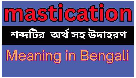 Mastication Meaning In Kannada What Does The Word Masticate Mean. What Does The Word