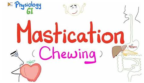 Mastication Reflex . Chewing Cycles & Oral es Oral Physiology