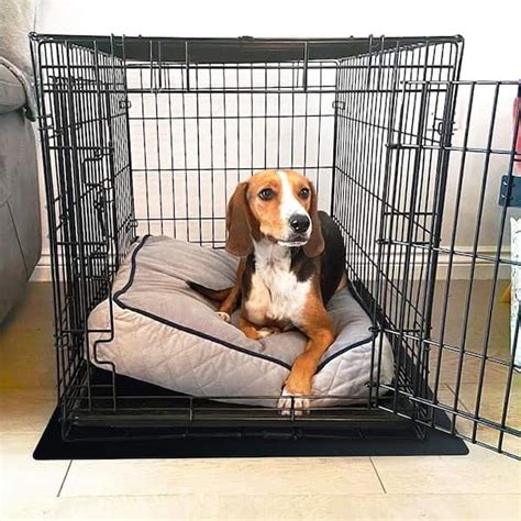 Mat For.under Dog Crate
