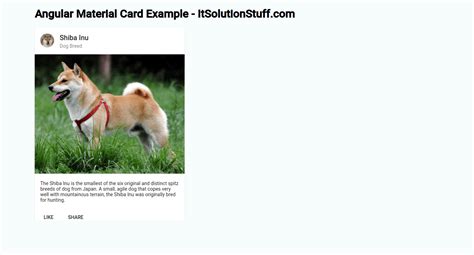 Mat-Card-Image Example
