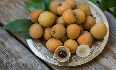 Mata Kucing Fruit In English Here Are 5 Tips For Longan Cultivation