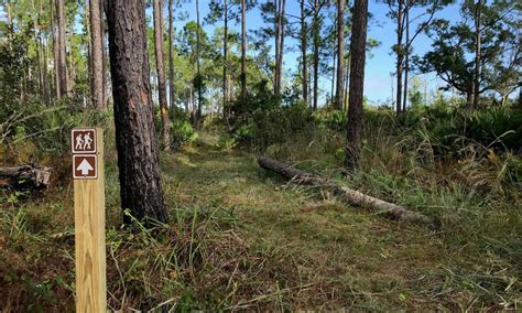 matanzas state forest hunting