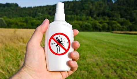Insecticida Raid sin olor mosquitos, moscas y zancudos 360 cc - Clean Queen