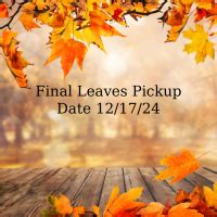 Matawan Nj Leaf Pickup