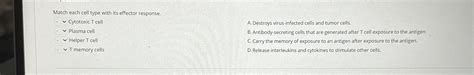 match each cell type with its effector response