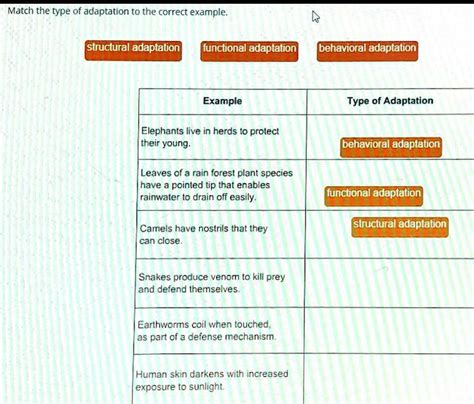 match the type of adaptation to the correct example.