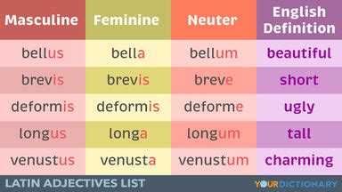 Match each vocabulary word to the correct definition.
