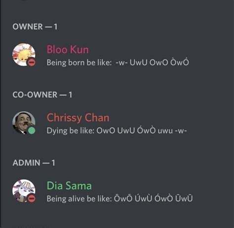 matching status discord