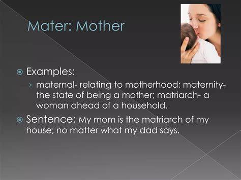 Maternity Definition Example Sentence