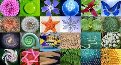 mathematics behind the different patterns in nature