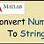 matlab convert logical to number