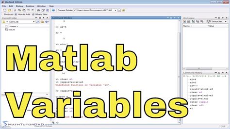 matlab clear all persistent variables