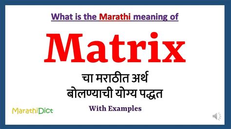 matric meaning in marathi