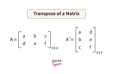 matrix * matrix transpose