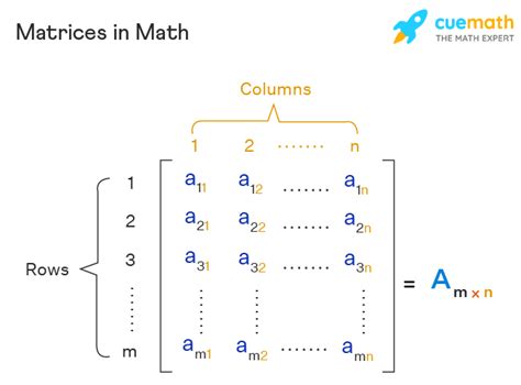 matrix mathematical definition