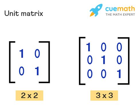 matrix meaning and examples