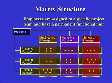 matrix structure meaning business