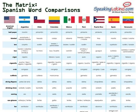 matriz in spanish to english